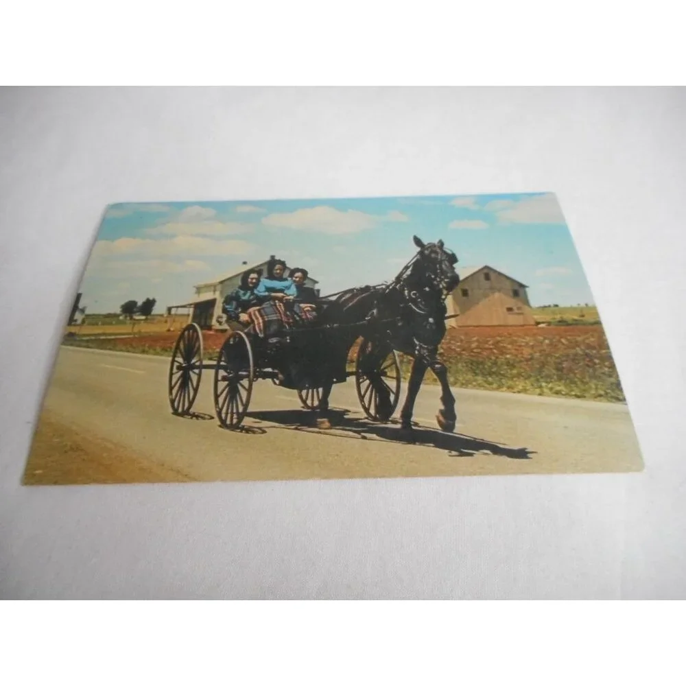 Vintage Postcard Amish buggy Girls Lancaster Pennsylvania Dutch Amish country